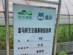 -阿林有机农庄