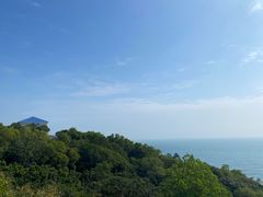 -广东惠东海龟国家级自然保护区