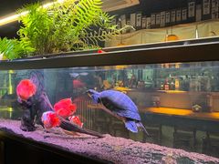 -阿泽料理