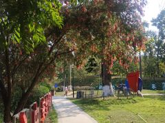 -中山市树木园