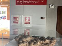 -中国西峡恐龙遗迹园