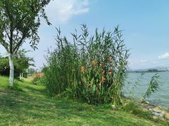 -星巴克(成都科学城店)