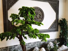 -呼吸森林·生态农庄农家乐私房菜