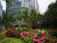 -北外滩滨江绿地