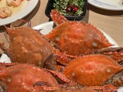 -星伦多自助料理(爱琴海店)