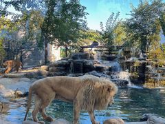 -北京野生动物园