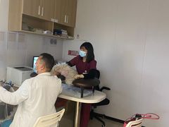 -艾贝尔宠物医院 ·中兽医·宠保定点(北门桥店)