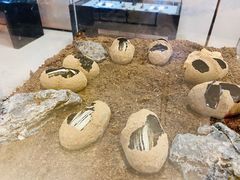 -燕莎友谊商城(亮马桥店)