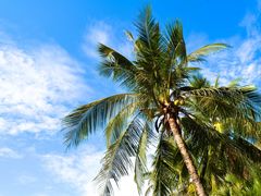 -三亚南山文化旅游区