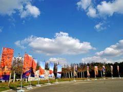 -上海海湾国家森林公园