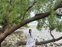 -宝安西湾红树林湿地公园