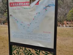 -龙寺生态园