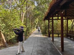 -溱湖国家湿地公园