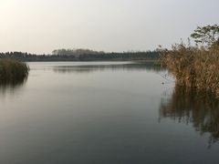 -溱湖国家湿地公园