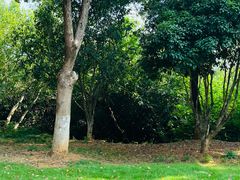 -盘龙城遗址博物院