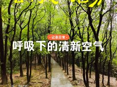 -火炉山森林公园