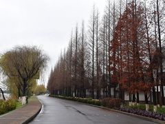 -太阳岛度假酒店