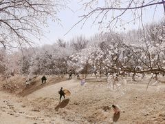 -奥林匹克森林公园北园-停车场