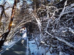 -贡嘎雪山