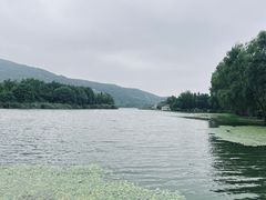 -长广溪湿地公园