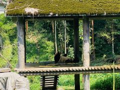 -碧峰峡风景区