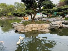 -扬州瘦西湖温泉