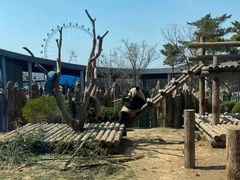 -大连森林动物园