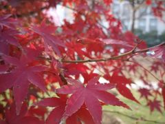 -江南大学(蠡湖校区)
