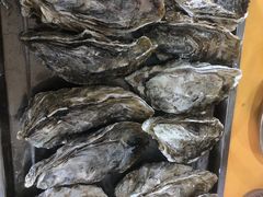 -蚝专家(北滘店)