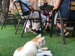 -DK45丹麦家居生活馆·依诺维绅(798店)