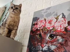 -平行世界·猫咖(首经贸店)