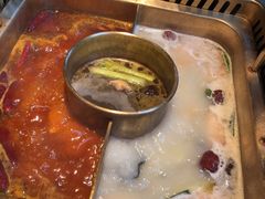 -九鼎轩脆毛肚火锅(商业街店)