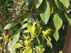-广州神农草堂中医药博物馆