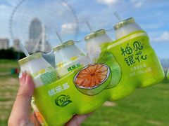 -南昌之星摩天轮