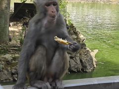 -黔灵山公园