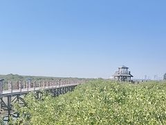 -北海金海湾红树林生态旅游区