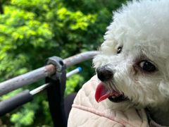 -富斯特索道