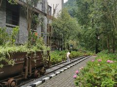 -桤木河湿地公园