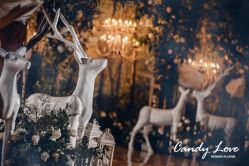 -上海外高桥喜来登酒店·宴会厅