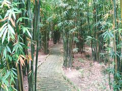 -武汉姚家山旅游景区