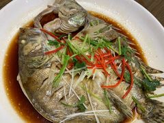 -老青岛海鲜烧烤大排档