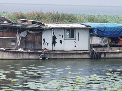 -微山湖红荷湿地景区