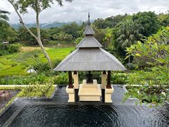 -四季酒店下午茶