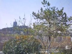 -永定河休闲森林公园