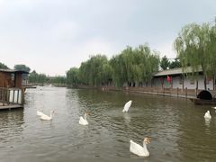 -河北村民俗体验园