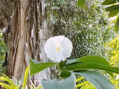 -广州神农草堂中医药博物馆