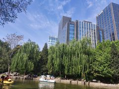 -团结湖公园
