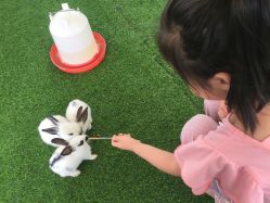 点击看大图 -萌宠亲子动物乐园(槐房万达店)