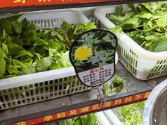 -黔府豆米火锅野菜馆(南马店)