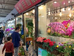 -双季花艺园艺市场(浦东店)